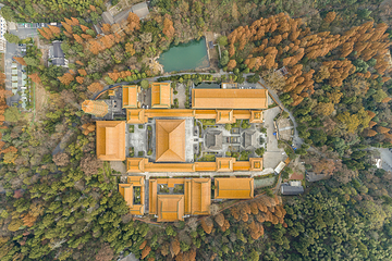 天目山自然保护区第 59 张图片
