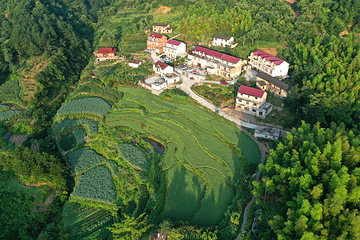 岳西金榜乡村第 13 张图片