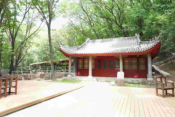 城子山风景区第 18 张图片