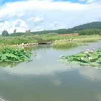 大来达勒花海风景区