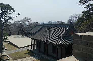 东陵公园第 9 张图片