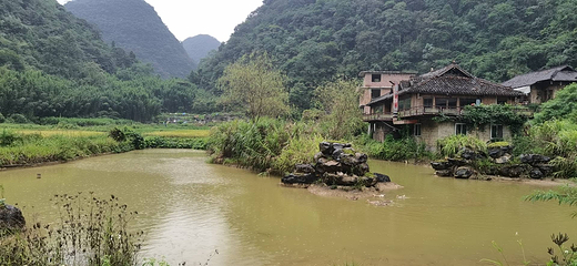 荔波茂兰自然保护区第 29 张图片