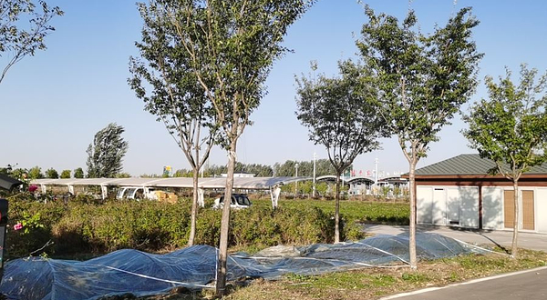 邹平供销蝶恋谷