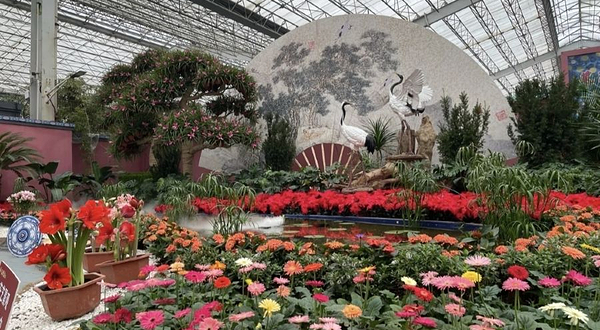 青州花博会