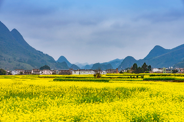 万峰林景区第 103 张图片