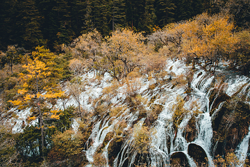 九寨沟风景区第 471 张图片