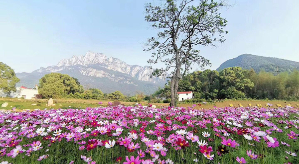 庐山鄱湖湾景区