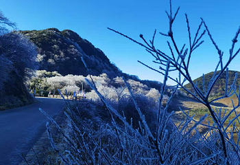 金佛山北坡景区第 7 张图片