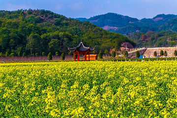 花园村景区第 1 张图片