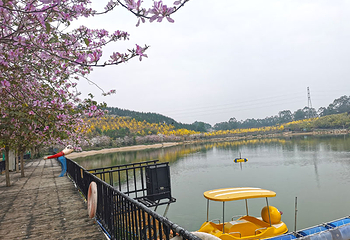 蓝田紫林旅游度假区第 106 张图片