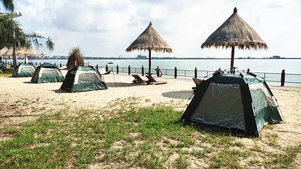 北海金海湾红树林生态旅游区第 38 张图片