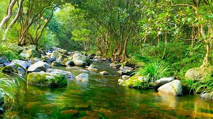 大庙江生态旅游景区第 1 张图片