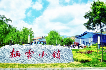 栖云花田第 16 张图片