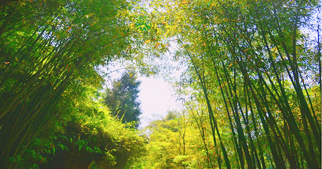 七彩熊家沟风景区第 2 张图片