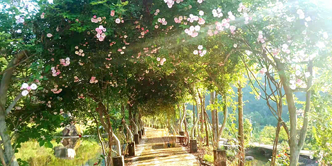 七彩熊家沟风景区第 14 张图片