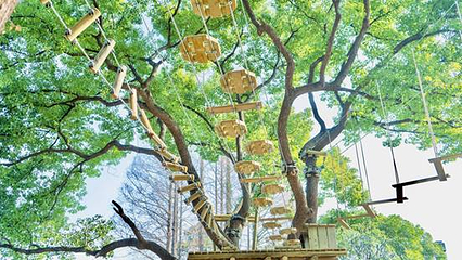 TREE TO TREE萃萃树探险乐园第 19 张图片