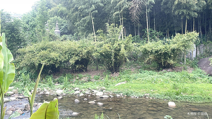 湾里金峡谷风景区第 2 张图片