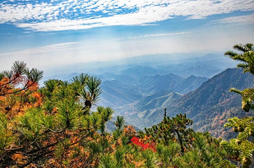 天目山自然保护区第 31 张图片