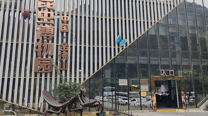 重庆市南川区蝶语昆虫博物馆第 2 张图片
