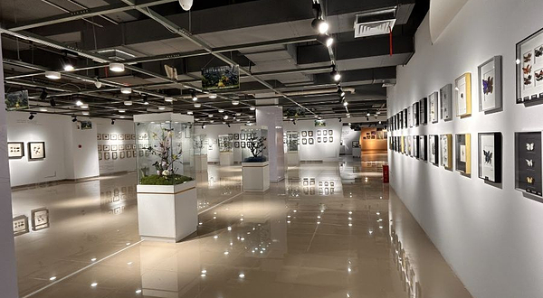 长沙活体昆虫博物馆