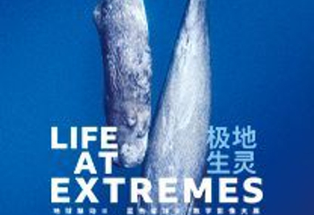 BBC EARTH极地生灵数字影像大展 - 郑州站第 1 张图片