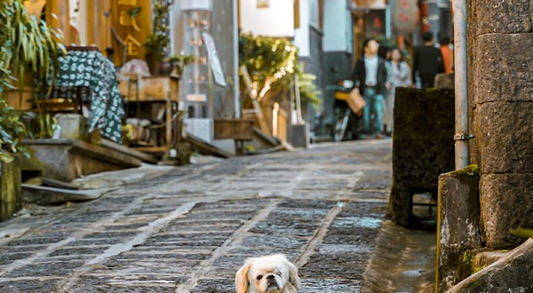 和顺古镇景区-和顺小巷