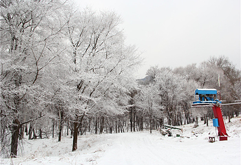 平山神鹿滑雪场第 15 张图片