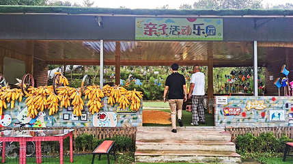 蝴蝶谷第 5 张图片