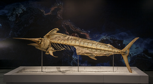 生命奥秘博物馆