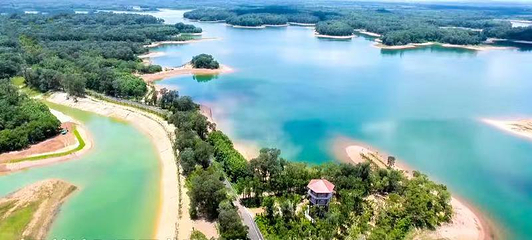 南丽湖醉花岛湿地文化旅游区第 1 张图片