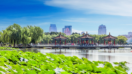 南湖公园第 5 张图片