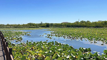 东丽湖自然艺苑景区