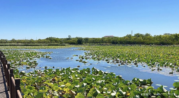 东丽湖自然艺苑景区