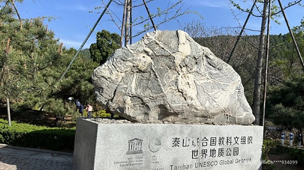 泰山世界地质公园博物馆第 1 张图片