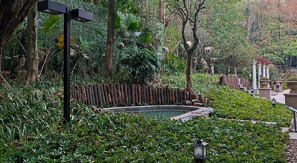 恒大酒店健康中心森林汤泉