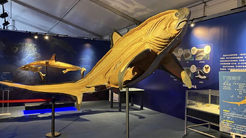 大连深海鱼影·特展