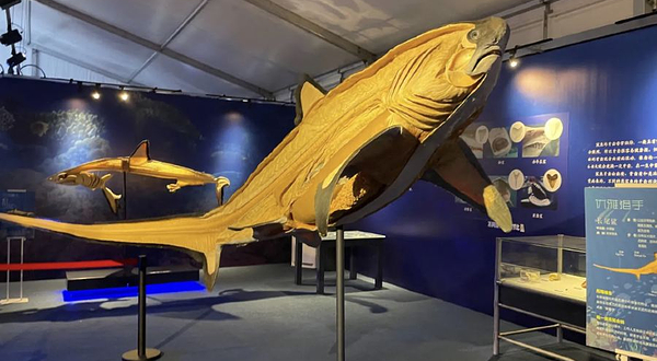 大连深海鱼影·特展