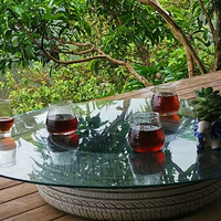 普洱天玉庄咖啡园