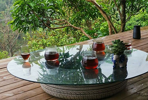 普洱天玉庄咖啡园