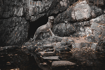 虎跑公园第 21 张图片