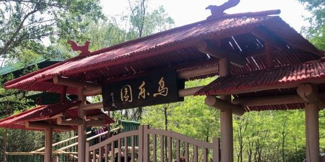 鼎翔生态旅游区生态农业观光园-鸟乐园