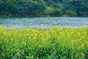 石门国家森林公园