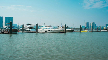 五缘湾白海豚帆船游艇