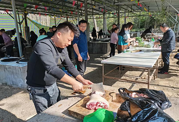 月季花海第 14 张图片