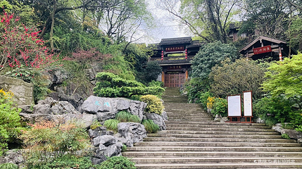 龙井山园第 5 张图片