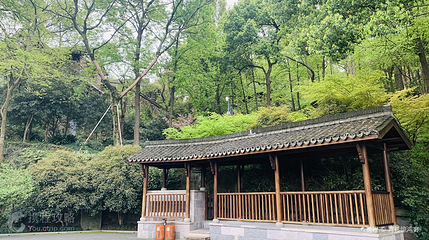 龙井山园第 4 张图片