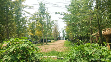 海蒂和噜噜的花园