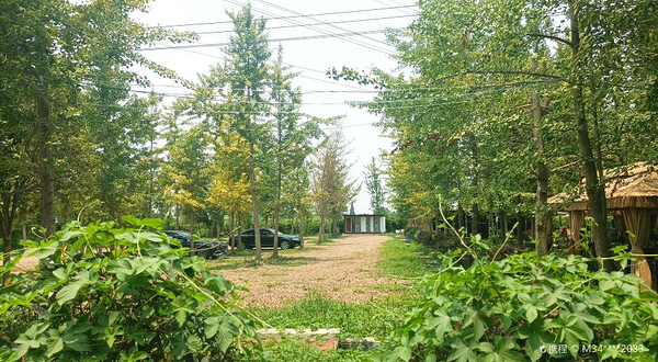 海蒂和噜噜的花园