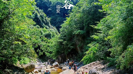 萤火虫水洞旅游区-蝴蝶谷第 1 张图片
