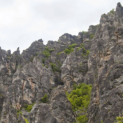 春湾风景区